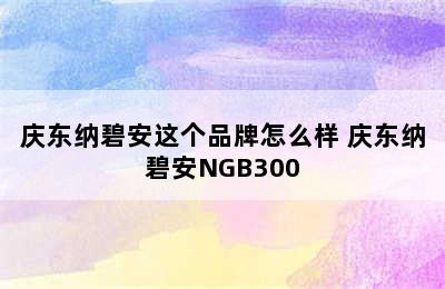 庆东纳碧安这个品牌怎么样 庆东纳碧安NGB300